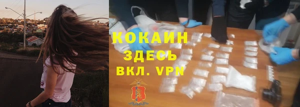 дживик Аркадак