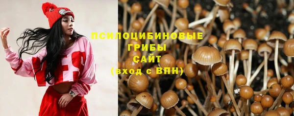 дживик Аркадак