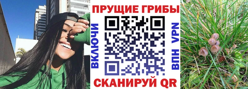 Псилоцибиновые грибы мицелий  mega зеркало  Лосино-Петровский 